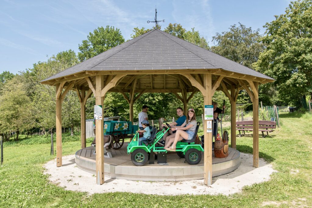 carrousel-dans-un-parc Carrousel à pédale dans un parc